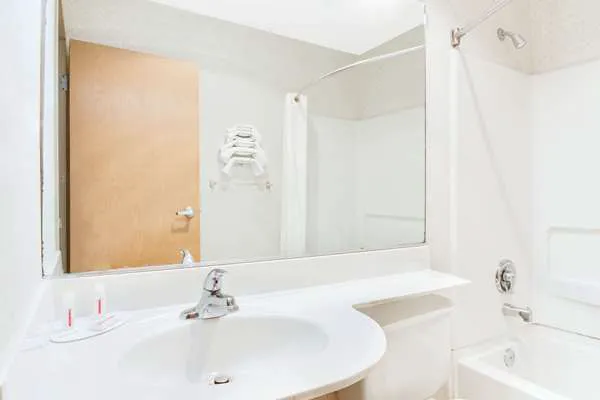 Microtel Inn & Suites by Wyndham Greensboro 4