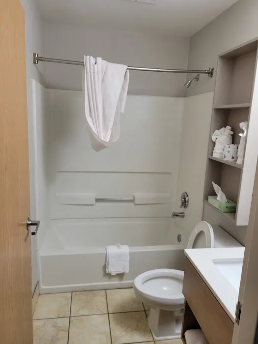 Microtel Inn & Suites by Wyndham Greensboro 4