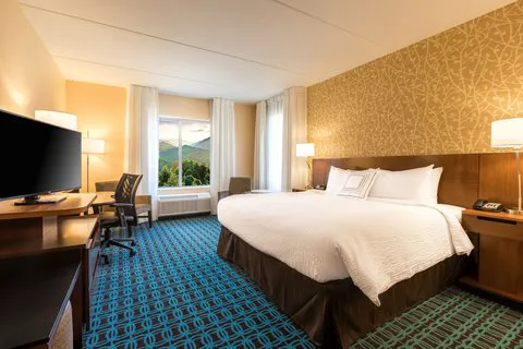 Fairfield Inn & Suites Asheville Tunnel Road 4