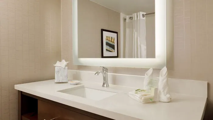 Holiday Inn San Antonio-Riverwalk, an IHG Hotel 5