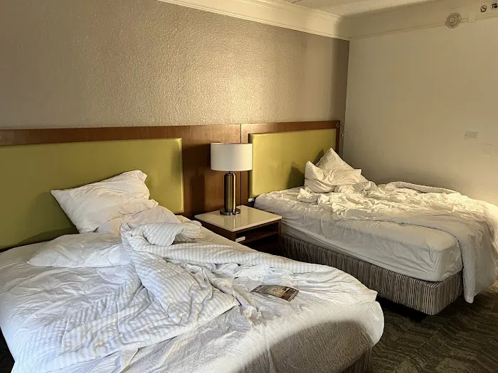 SpringHill Suites San Antonio Downtown/Riverwalk Area 5