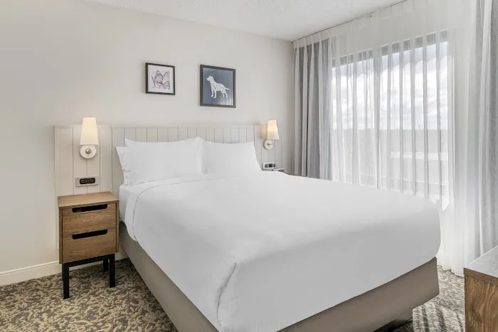 Sonesta ES Suites San Antonio Downtown Alamo Plaza 5