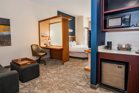 SpringHill Suites San Antonio Alamo Plaza/Convention Center 5