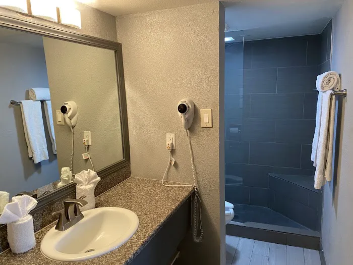 Days Inn by Wyndham San Antonio Alamo/Riverwalk 5