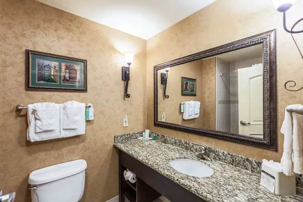 Comfort Suites Alamo/River walk 5
