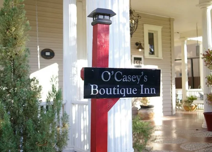 O'Casey's Boutique Inn - Bed & Breakfast San Antonio 5