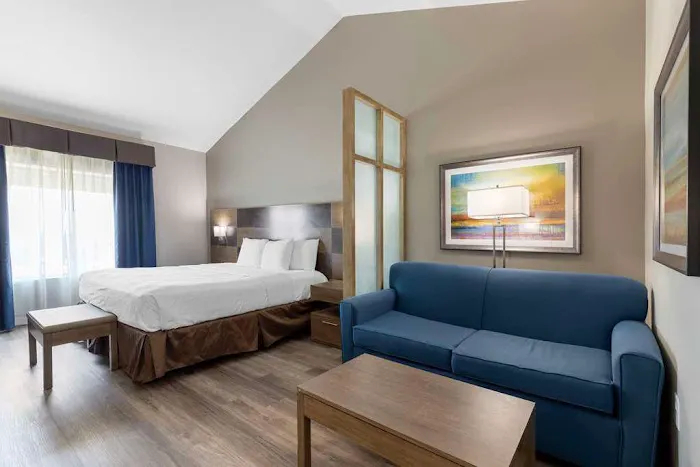 Best Western Plus Downtown North 5