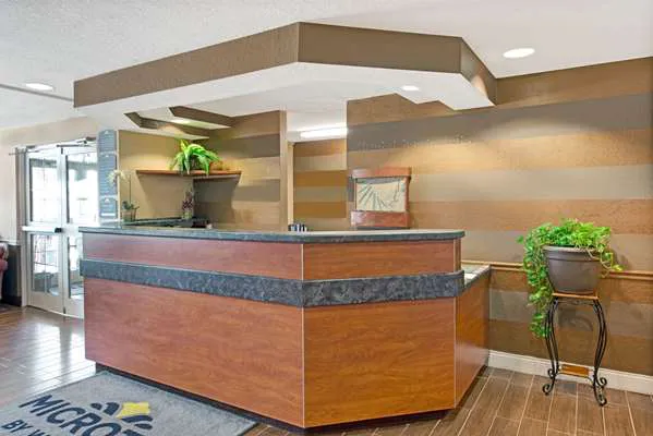 Super 8 by Wyndham San Antonio Downtown NE 5