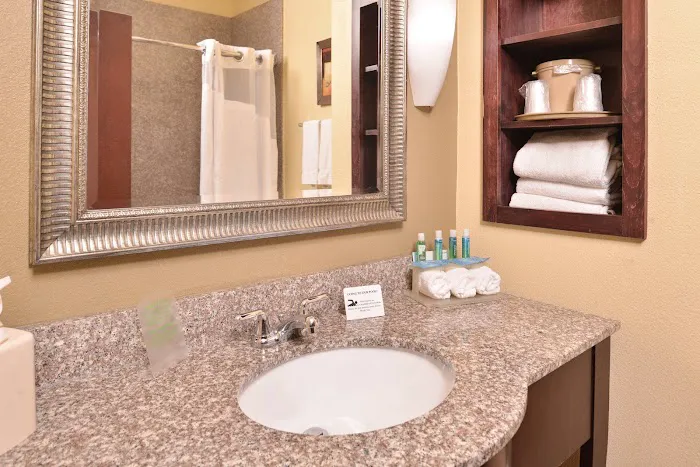 Holiday Inn Express & Suites San Antonio NW-Medical Area by IHG 5