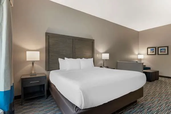 Comfort Inn & Suites Near Medical Center 5