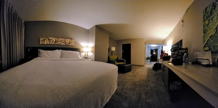 Hilton Garden Inn San Antonio Airport South 5