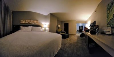 Hilton Garden Inn San Antonio Airport South
