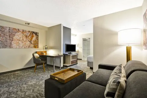 SpringHill Suites San Antonio Medical Center/Northwest 4