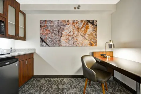 SpringHill Suites San Antonio Medical Center/Northwest 4