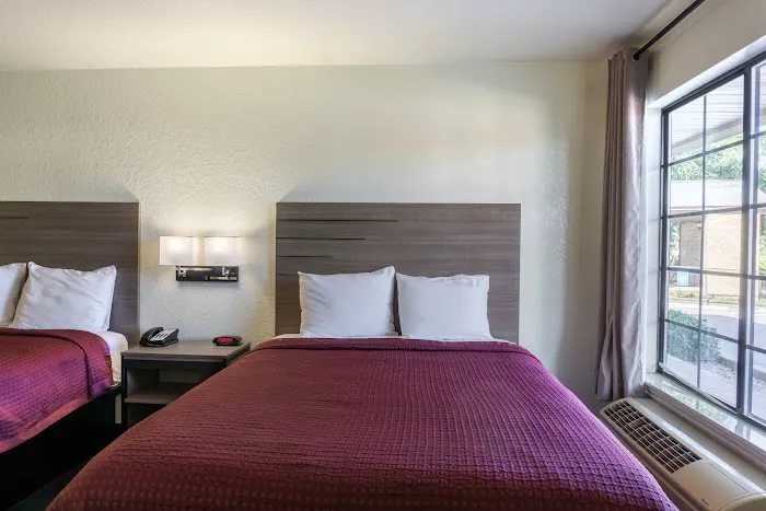 OYO Inn & Suites Medical Center San Antonio 5