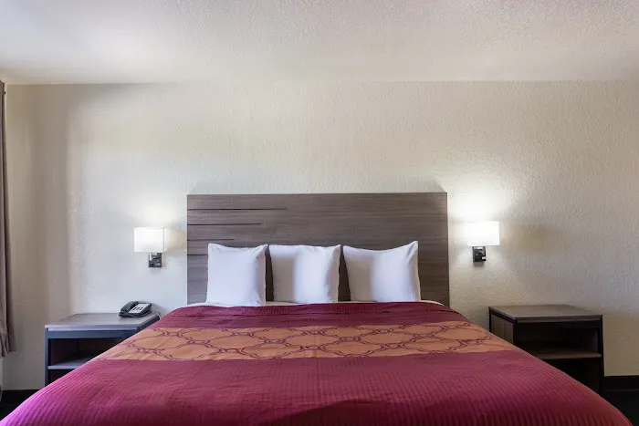 OYO Inn & Suites Medical Center San Antonio 5