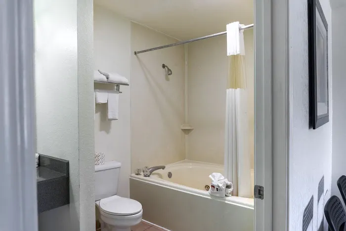 OYO Inn & Suites Medical Center San Antonio 5