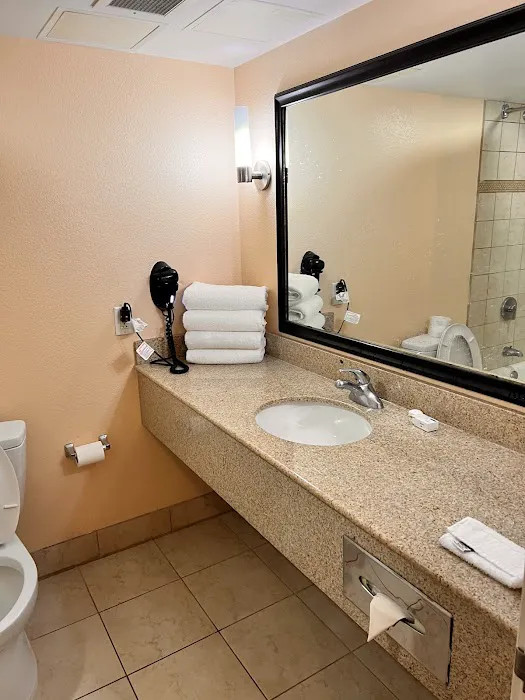 La Quinta Inn & Suites by Wyndham San Antonio Medical Ctr NW 5