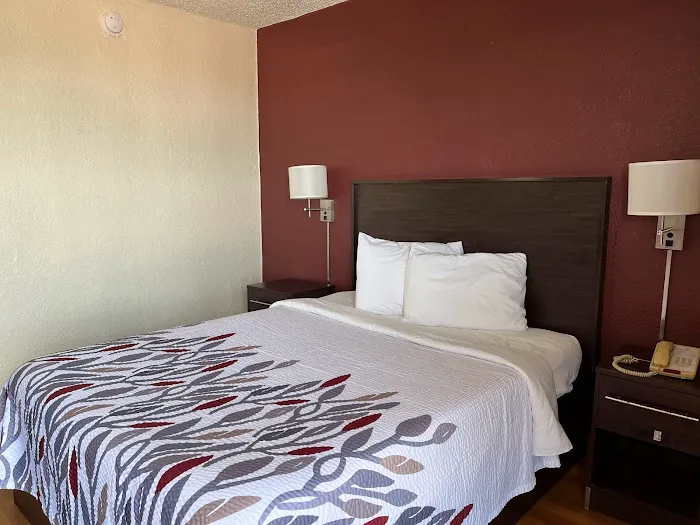 Qubed Living - San Antonio - Rittiman 5