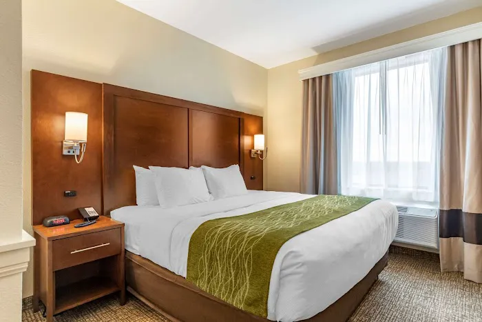 Comfort Suites San Antonio Ft. Sam Houston/SAMMC Area 5
