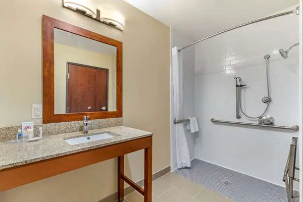 Comfort Suites San Antonio Ft. Sam Houston/SAMMC Area 5
