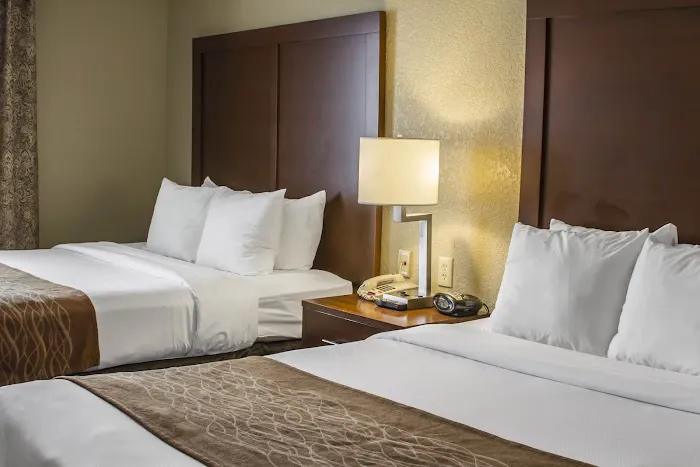 Comfort Suites Near Seaworld 5
