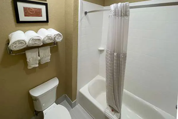 Comfort Suites Near Seaworld 5