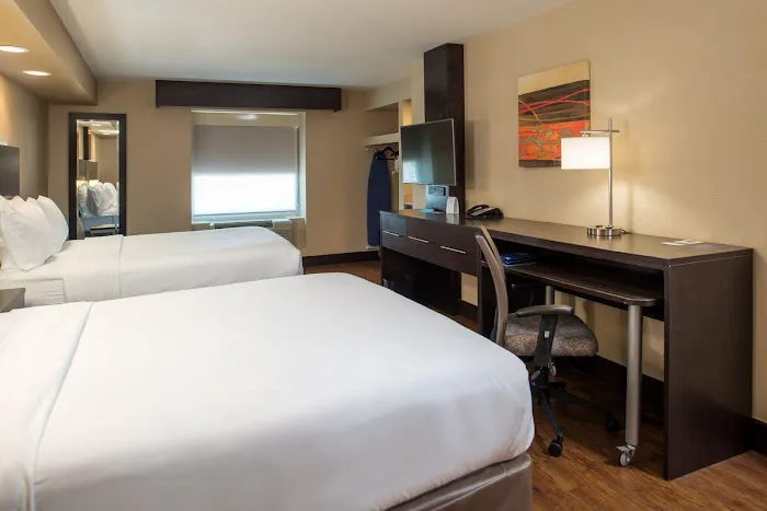 Holiday Inn Express & Suites San Antonio Medical-Six Flags by IHG 5