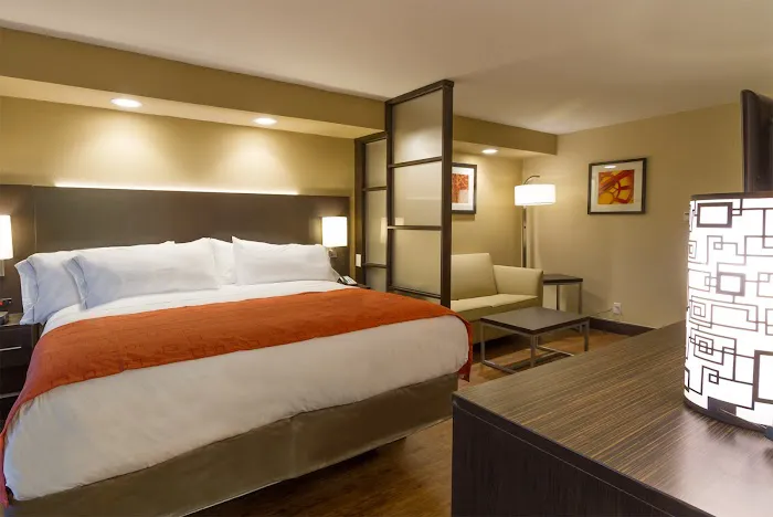 Holiday Inn Express & Suites San Antonio Medical-Six Flags by IHG 5
