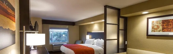 Holiday Inn Express & Suites San Antonio Medical-Six Flags by IHG 5