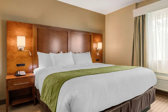 Comfort Suites San Antonio Airport North 5