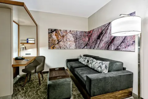 SpringHill Suites San Antonio SeaWorld®/Lackland 5