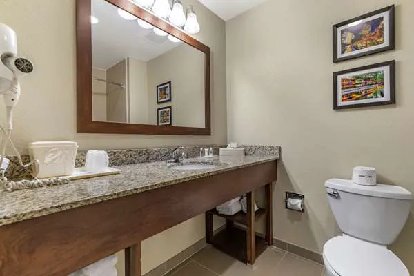Comfort Suites Medical Center near Six Flags 5