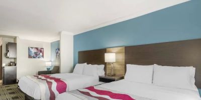 Best Western Medical Center North Inn & Suites Near Six Flags