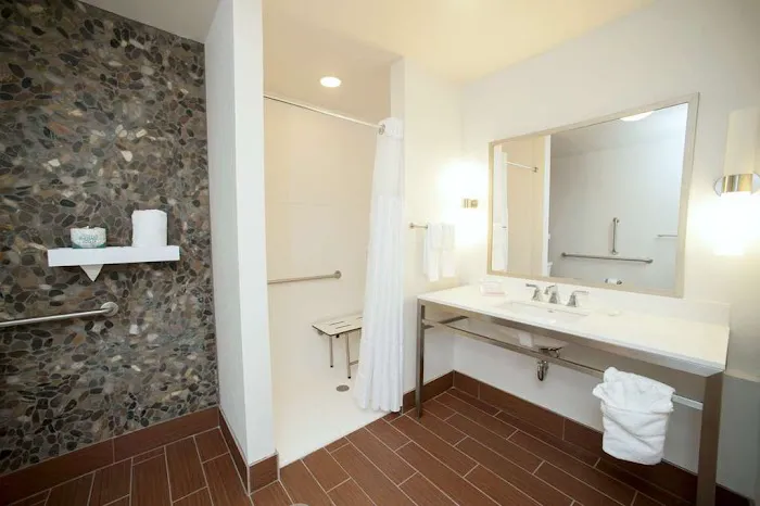 Hilton Garden Inn San Antonio-Live Oak Conference Center 5