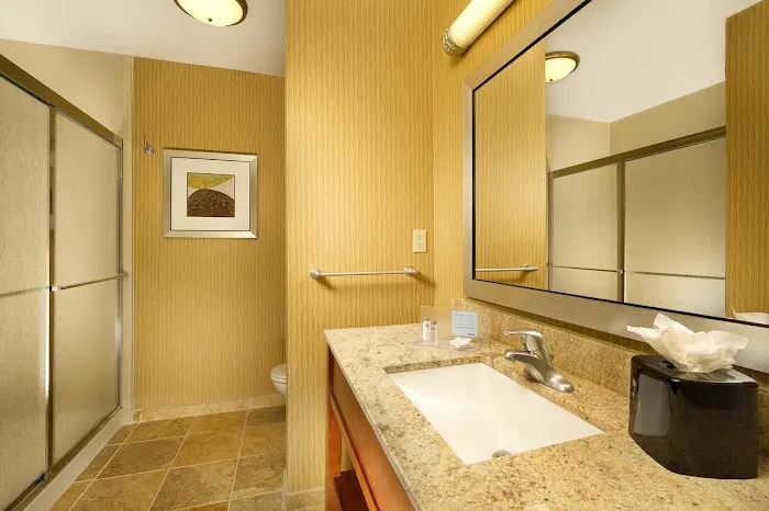Hampton Inn & Suites Selma-San Antonio-Randolph AFB Texas 5
