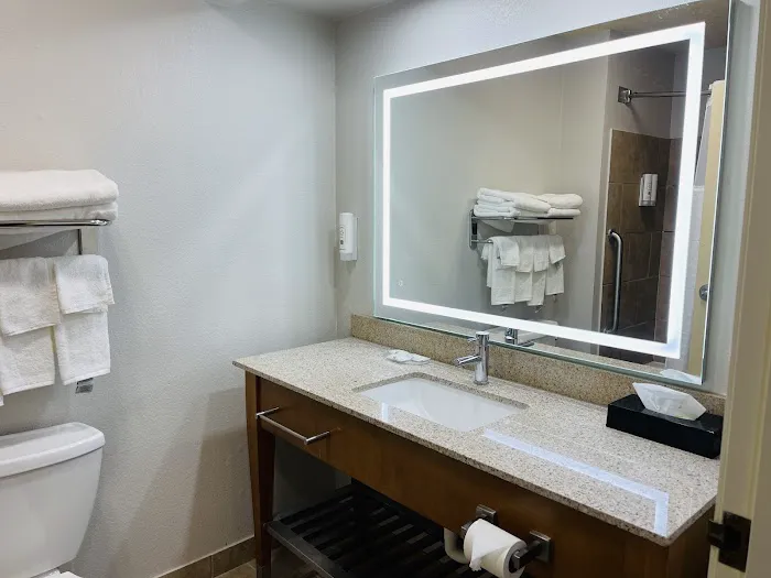 Quality Inn & Suites Airport North - Stone Oak 4