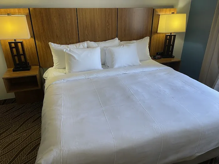Quality Inn & Suites Airport North - Stone Oak 4