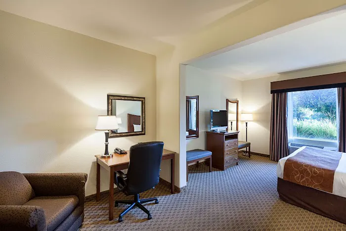 Comfort Suites San Antonio North - Stone Oak 5