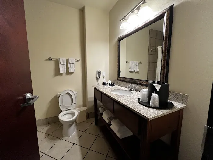 Comfort Suites San Antonio North - Stone Oak 5