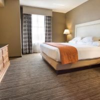 Drury Inn & Suites San Antonio North Stone Oak ico