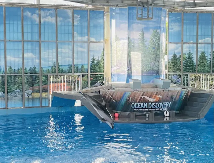 Tru by Hilton San Antonio Lackland SeaWorld 5