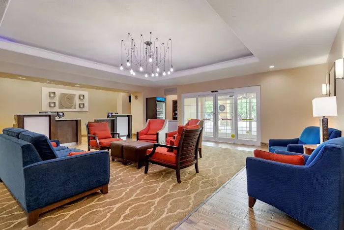 Comfort Inn & Suites Near Six Flags & Medical Center 5