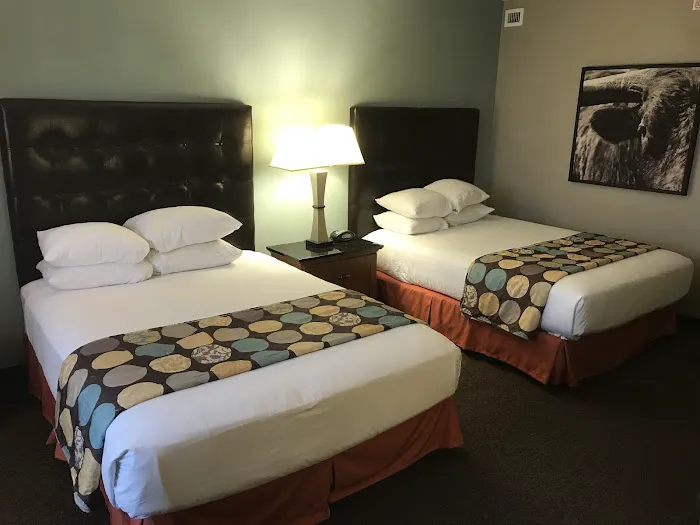 Drury Plaza Hotel San Antonio North Stone Oak 5