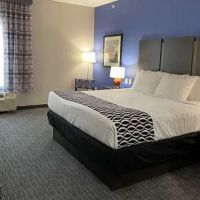 La Quinta Inn & Suites by Wyndham Schertz ico