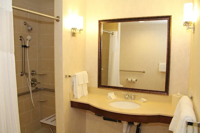 Hilton Garden Inn San Antonio At The Rim 5