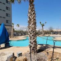 Courtyard San Antonio Six Flags® at The RIM ico