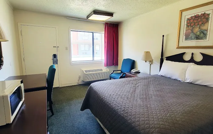 Studio Suites 5