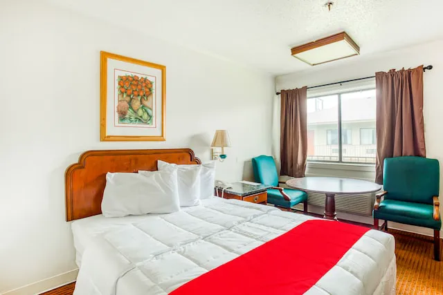OYO Hotel San Antonio East 5