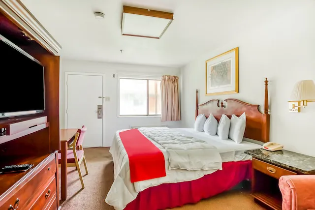 OYO Hotel San Antonio East 5